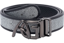 Stingray Silver - NBI Enterprise