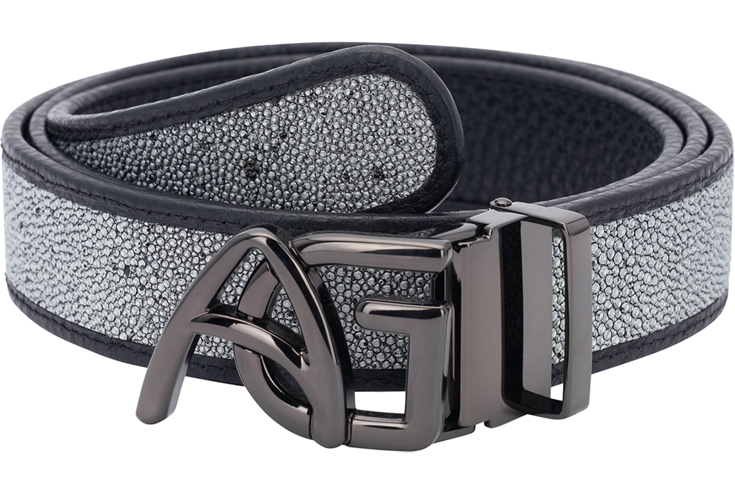 Stingray Silver - NBI Enterprise